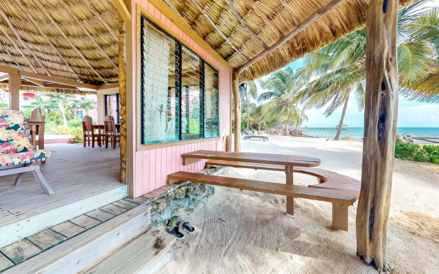 Saponaria 21-22 at Caribe Island Gold Standard Certified