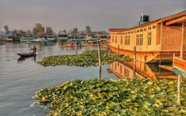 Lalarukh Houseboats