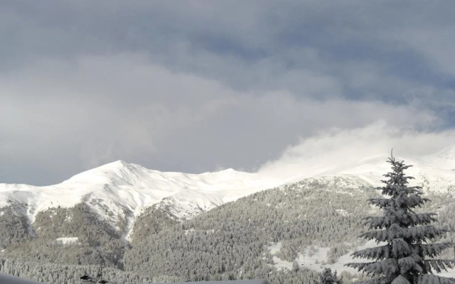 Alpen - Hotel Panorama