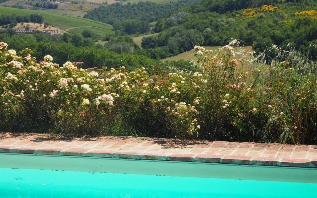 Agriturismo Biologico Antico Uliveto