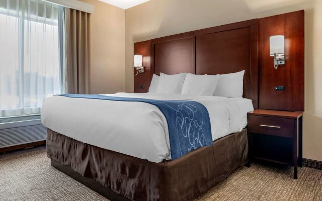 Comfort Suites Pell City