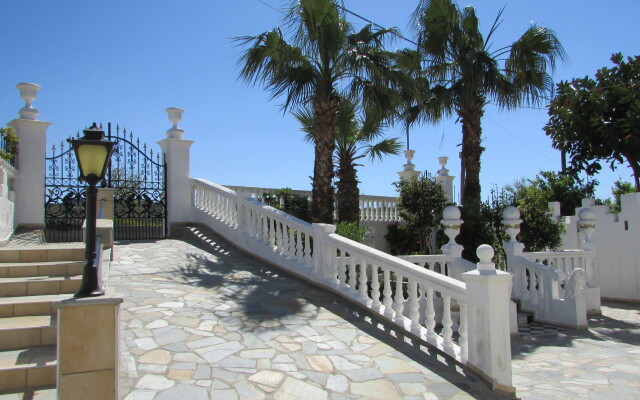 Castellino Studios
