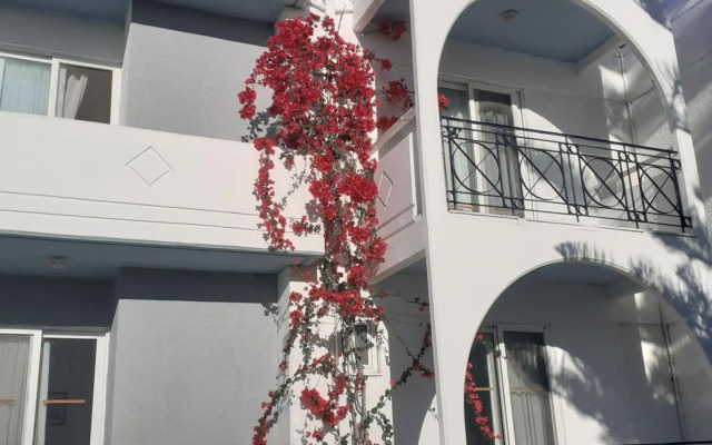 Summer Dream Hotel