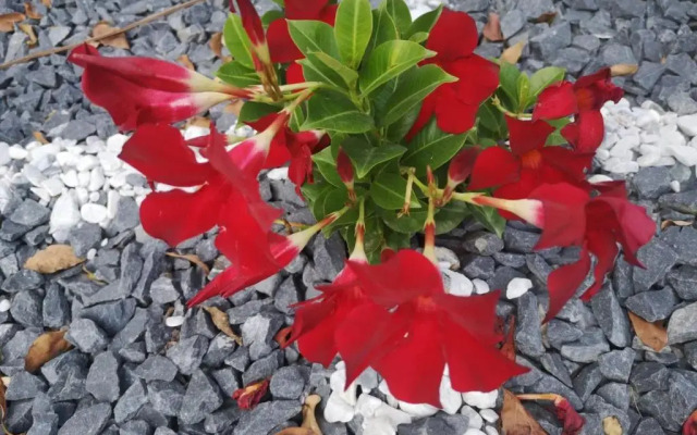 Sade Holidays - 14 A on Berea Manaba Margate