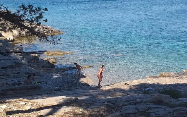 Silvana - 100 m From Beach - A1