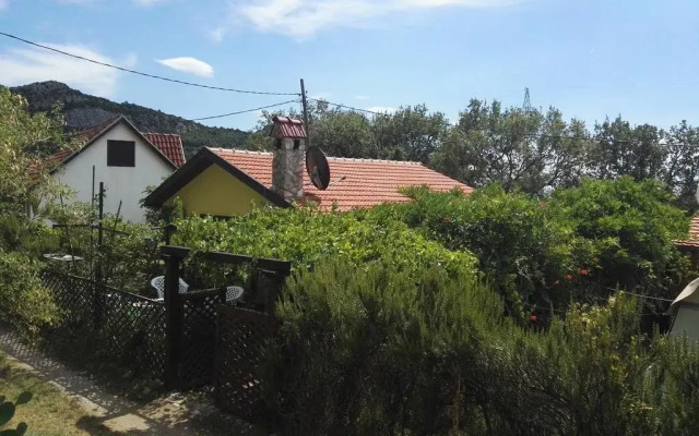 Yellow House