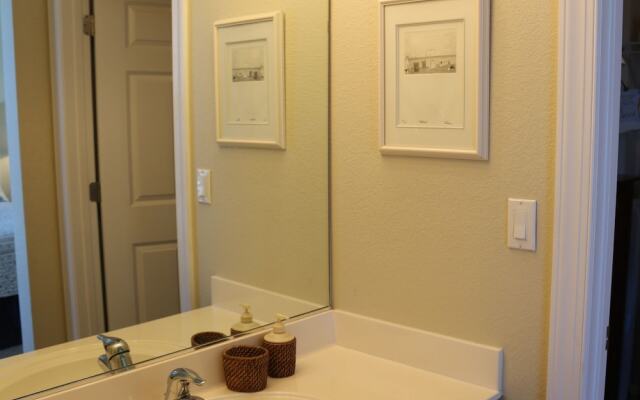 Emerald Dolphin by Surfside VR