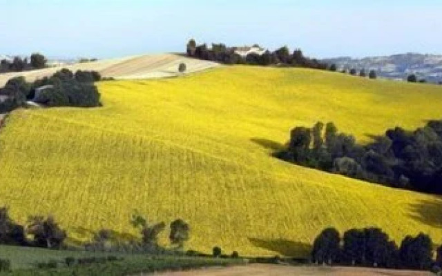 Agriturismo di Charme Ripabianca