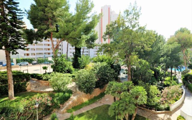 Playmon Park C39