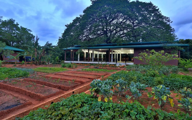 Grand & Gangula