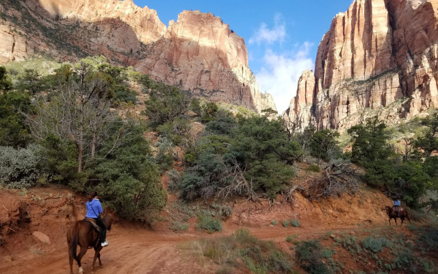 Zion's Most Wanted Hotel