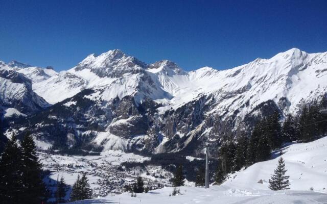 Appartment Chalet Sonnenheim