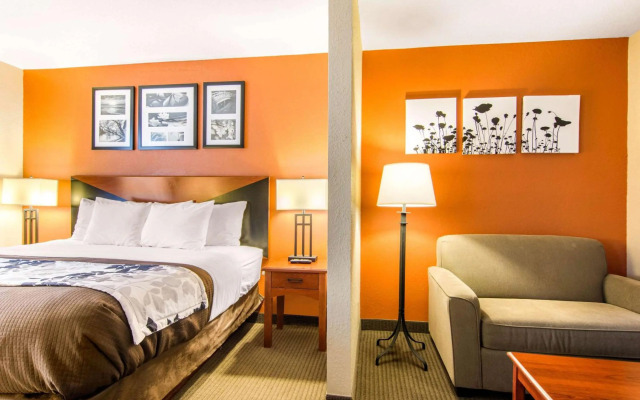 Sleep Inn & Suites Athens South