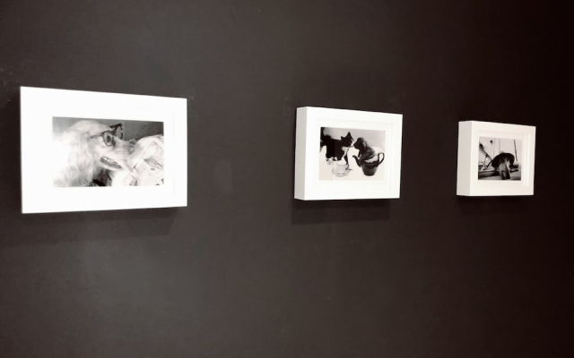 Uribarri en El corazon by Urban Hosts