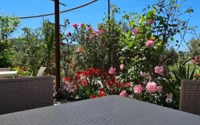 Vila Malo 1