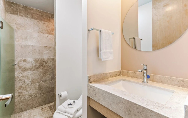 Pájaros by Homirent