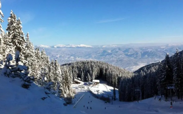 The Green Pine Chalet