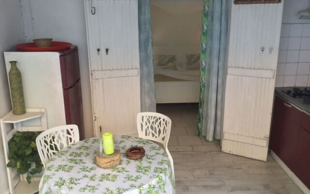 Racoon Lodge