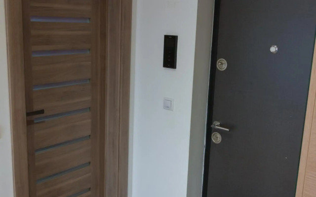 Presecan One Room Apartment with view