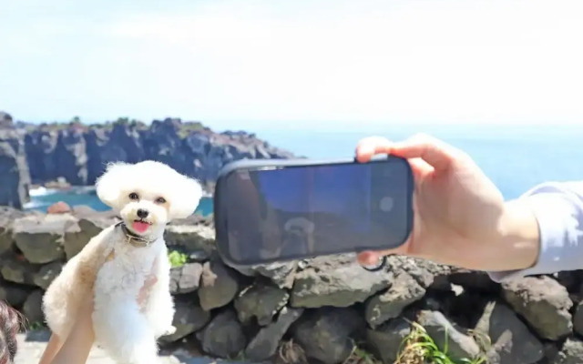 Wan's Resort Jogasaki Coast