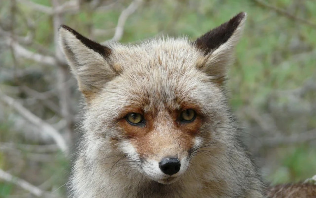 Rural Mountain Hotel - Cazorla