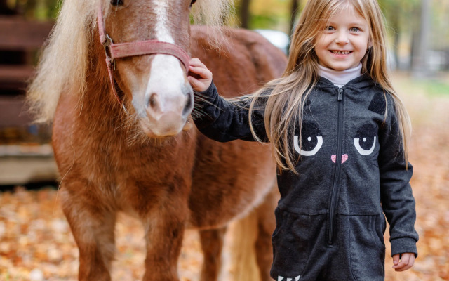 Отель Voevodyno Resort