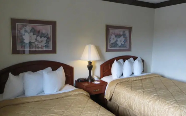 Quality Suites