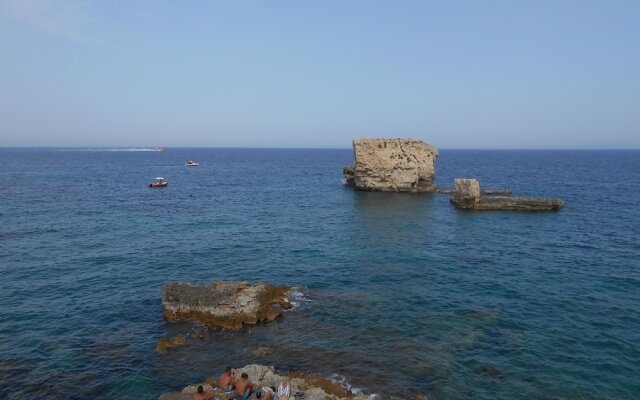 White House - Withe House