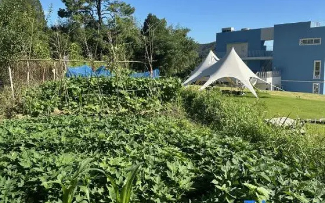 Blue House Country Hotel
