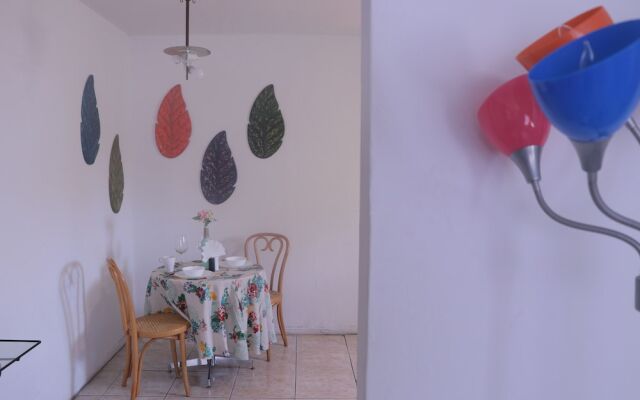 Walk in the heart of Wynwood