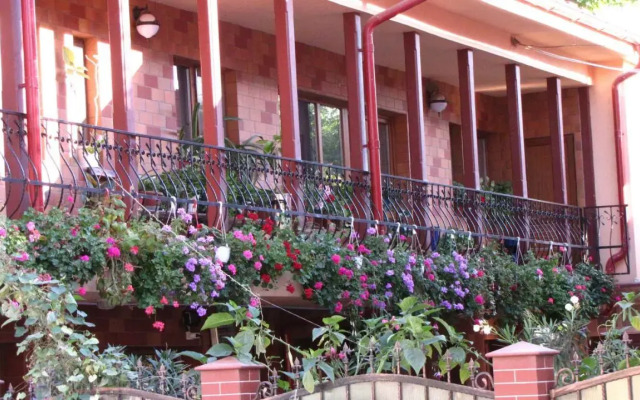 Pensiunea Pluto Sulina