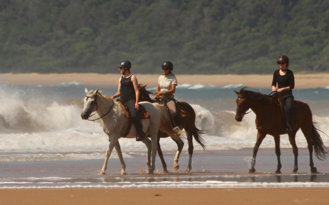 Lodge Afrique