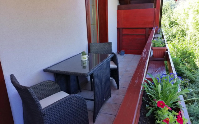 Haus Alexandra Apartment