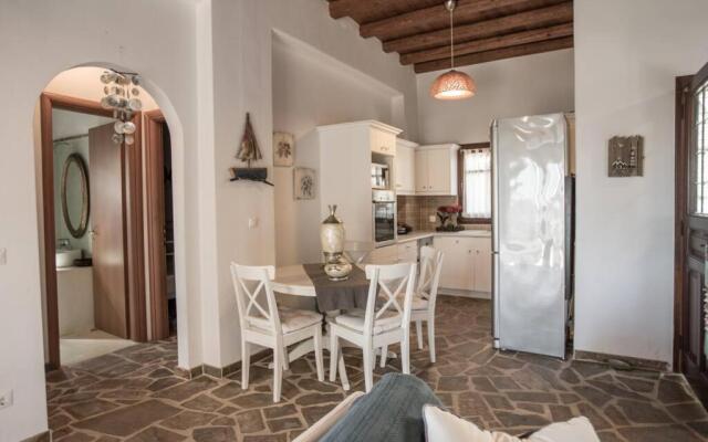 2AG252-House with a pool in Andros