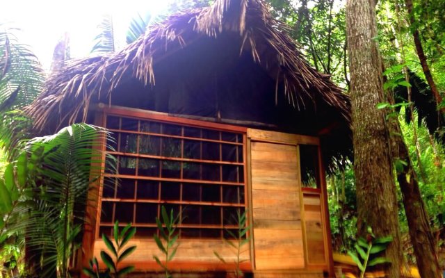 Cacao Rainforest Lodge