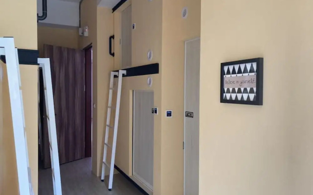 Owl Hostel