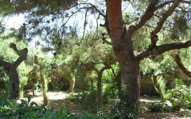 Villa Cino
