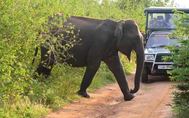 Wild Trails Udawalawe