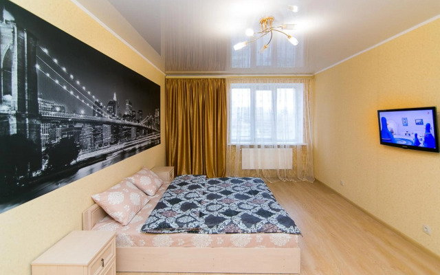 VIP Apartment on Novomestenskaya