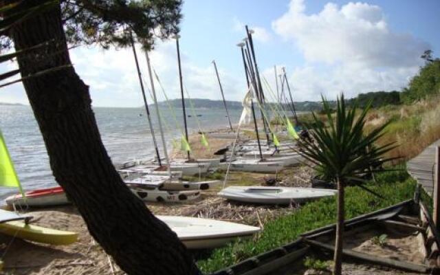 Ecobosque