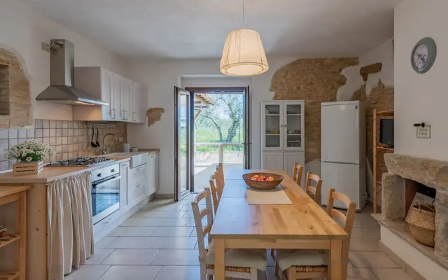 Il Fico nel Pozzo in Fossacesia