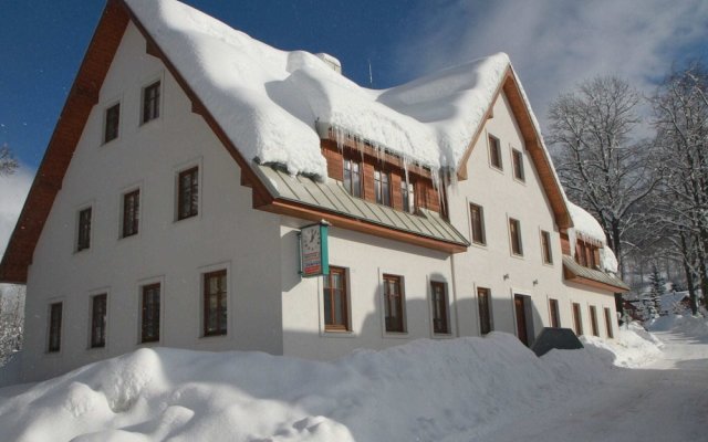 Modern Apartment in Rokytnice nad Jizerou Near Ski Area