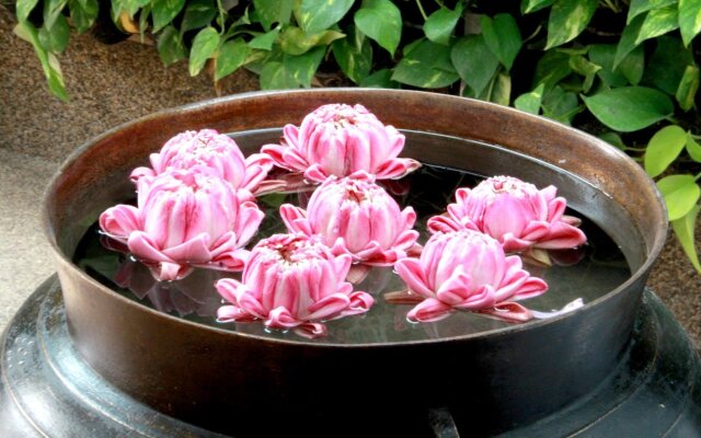 La Palm Boutique Hotel