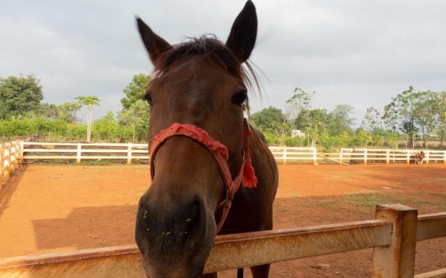 The Stables Khao Yai