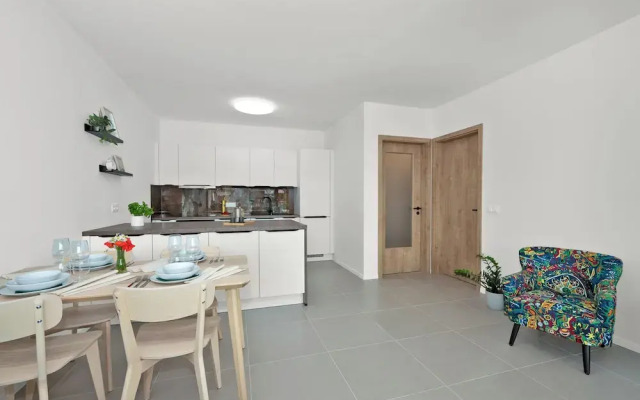 Fully equipped apartments with Terraces, Free garage parking, Netflix & AC - by Apartmány Šlapanice cz