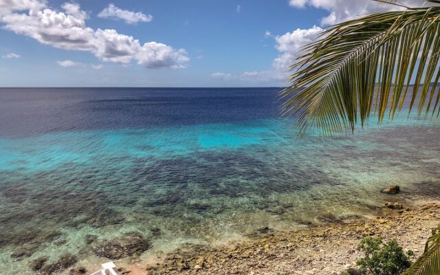 One Ocean Boutique Apartments & Suites Bonaire