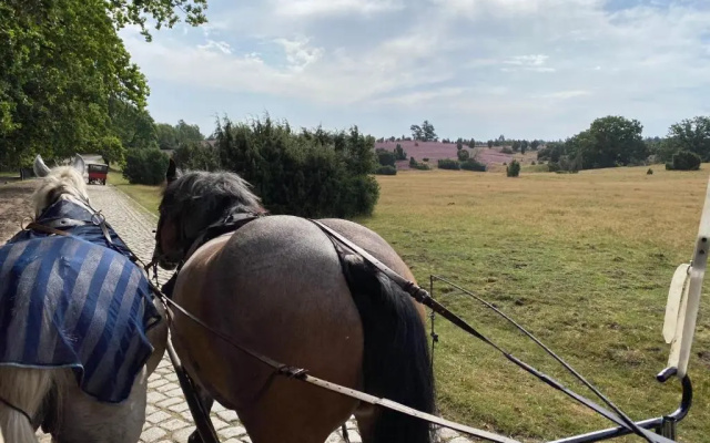 Huus Utspann Fewo Mit Terrasse - 23 Km Vor Hamburg -