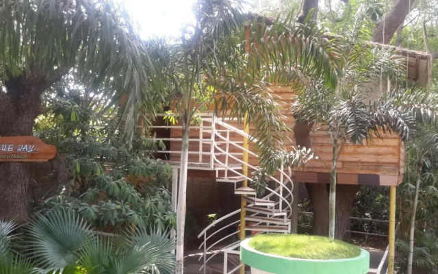 Mrugavani Resort and Spa