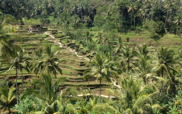 Mano House Ubud