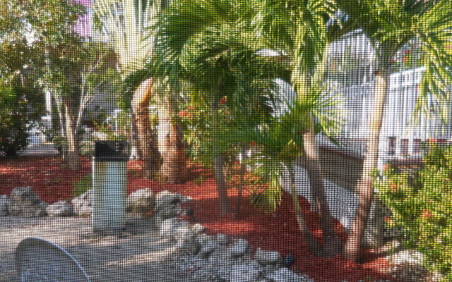 1 Island Hideaway in the Keys